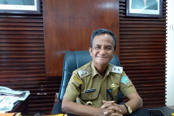 Pemerintah: Stok pangan di Kabupaten Sangihe cukup