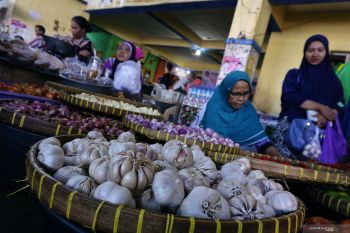 Bawang putih di Mataram tembus Rp100 ribu perkilogram
