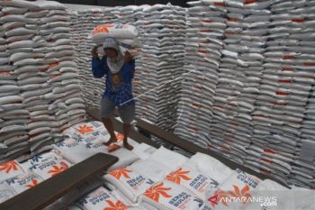 Stok pangan Parigi Moutong aman hingga Idulfitri