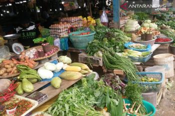 Harga sayur mayur di Baubau mulai naik