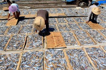 Produksi ikan asin menurun