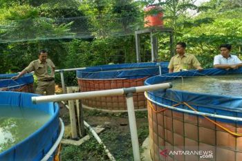 DKP Kulon Progo memberikan hibah kolam bulat untuk pokdakan