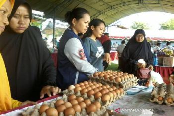 Pemprov Sulteng minta distributor ikut amankan stok dan harga