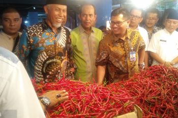 Wali kota Padang cek harga pangan di Pasar Raya