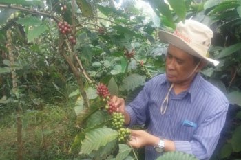 Berbekal sertifikat tanah, warga lereng Merapi mengembangkan parwisata