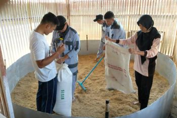 Mahasiswa Polbangtan YoMa tetap sambangi kandang pada libur akhir pekan