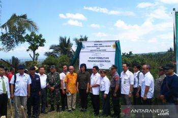BTNGR-Unram kerja sama bangun Pusat Penelitian Penangkaran Rusa