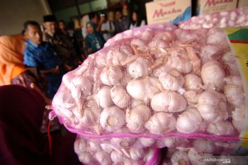 Pedagang: berat bawang putih impor berkurang karena menyusut