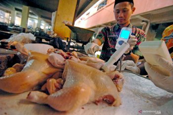 Pemeriksaan daging di pasar