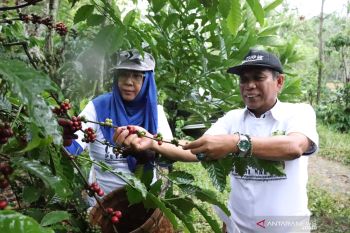 Balitbang Lampung apresiasi dukungan pemkab terhadap petani kopi
