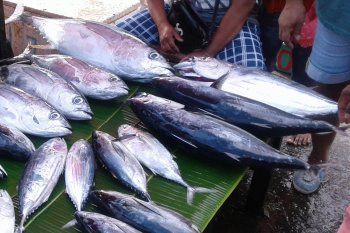 Tingkat konsumsi ikan di Mataram naik selama Ramadhan