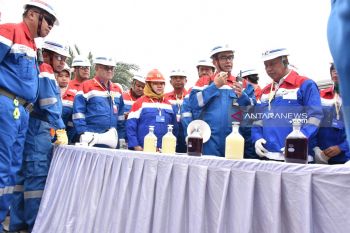 Menristekdikti Tinjau Pengolahan BBM Nabati Solar Pertamina Dumai