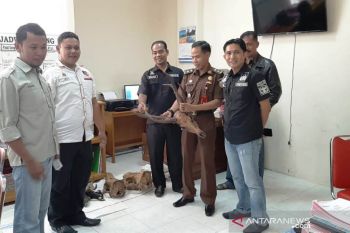 Polres Agam limpahkan tersangka dan barang bukti kasus satwa dilindungi