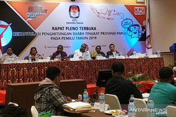 Bawaslu: ada 29 laporan dan 6 temuan kasus pemilu di Jayapura
