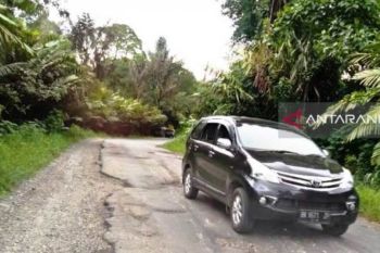 Pengemudi keluhkan kondisi ruas jalan mudik lintas Barat Sumatera yang  banyak berlubang
