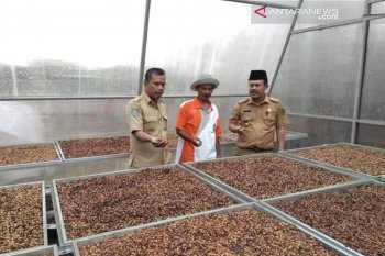 Rejang Lebong kembangkan komoditas kopi dan aren