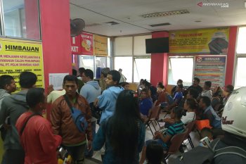 Pelni Manokwari pastikan kapal cukup untuk masa mudik