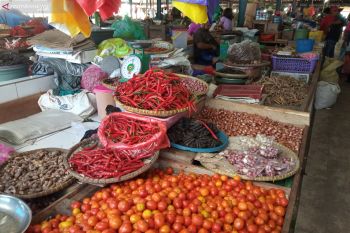 Inflasi Mei di Papua Barat diprediksi tidak signifikan