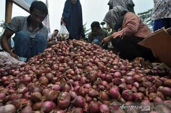 Tekan harga bawang merah