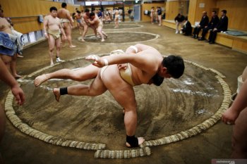Turnamen sumo Jepang digelar tanpa penonton