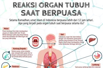 Reaksi organ tubuh saat berpuasa