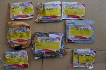 Kementerian Pertanian musnahkan 84 komoditas pertanian dari luar negeri