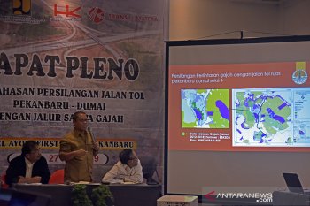 Enam perlintasan gajah dibangun di tol Pekanbaru-Dumai