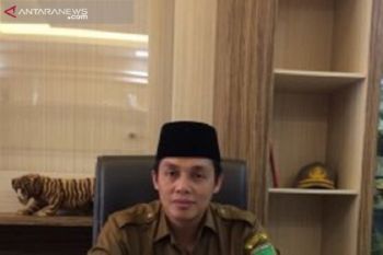 Kalsel siapkan 300 ribu hektare untuk dukung lokasi pemindahan ibu kota