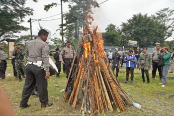 Polres Mimika musnahkan ratusan anak panah beserta busurnya