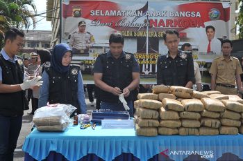 Polda Sumsel musnahkan 106 kilogram ganja