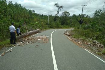 Pantau Daerah Rawan Kecelakaan, Dishub Lakukan Survei Jalan