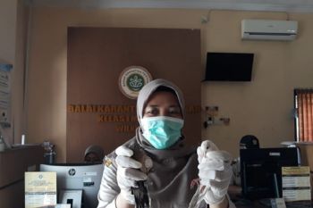 Petugas sita tujuh burung yang disembunyikan dalam paralon dari Malaysia