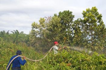Kebakaran lahan mulai terjadi di Sampit, diduga disengaja