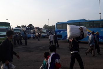 Puncak arus mudik di Terminal Rajabasa diprediksi Kamis malam