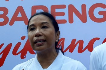 Rini Soemarno targetkan laba BUMN 2019 di atas Rp220 triliun