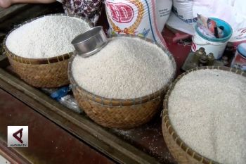 Jelang Ramadhan Bulog tidak gelar operasi pasar