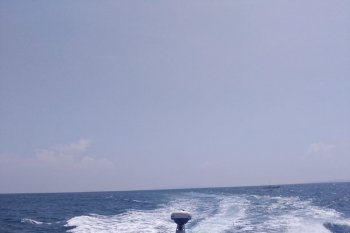 Tim SAR Gabungan temukan perahu motor hilang di perairan Mamberamo Raya