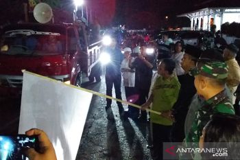 Wabup Sangihe lepas pawai takbiran