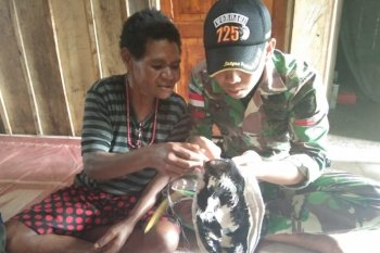 Anggota Satgas Pamtas RI-PNG Yonif 725/WRG belajar rajut "noken"