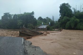 Walhi : banjir Morowali karena menurun daya dukung lingkungan