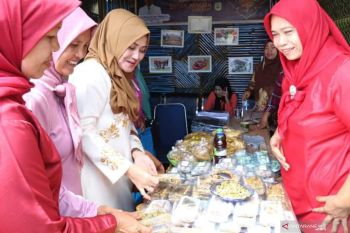 Perhelatan Lintau Expo Tanah Datar digelar tiga hari, ini yang dipamerkan