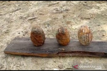 Tiga granat peninggalan masa kolonial Belanda ditemukan di Bajubang, Jambi