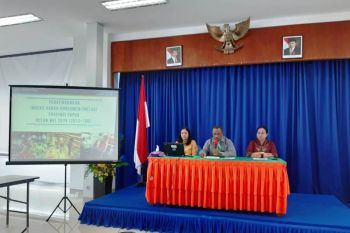 Tarif angkutan udara pendorong inflasi di Kota Jayapura
