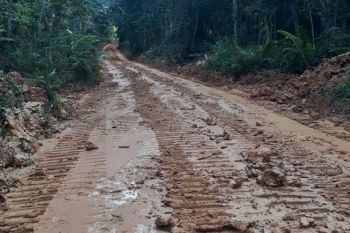Pemdes Tapen Raya bersihkan jalan 17 Kilometer menuju Batu Raya