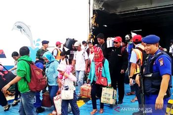 Sudah 3.156 pemudik kembali melalui Pelabuhan Sampit