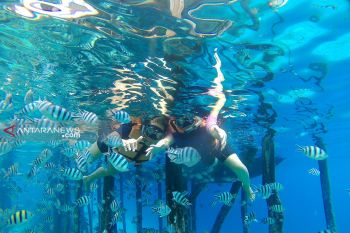 Destinasi wisata yang disebut surga ikan Raja Ampat