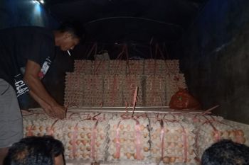 Kapal nelayan Inkamina dikerahkan bantu korban bencana Morowali