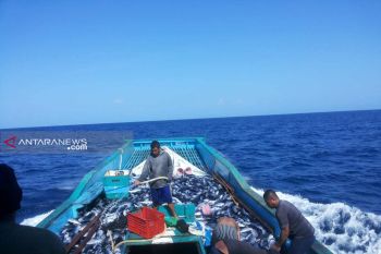 Kapal Pole and Line di Kota Kupang terus menyusut
