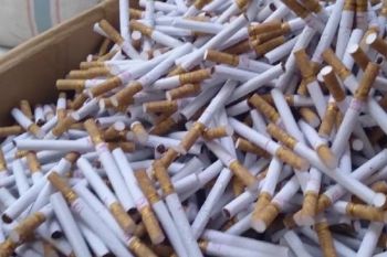 DPRD minta Pemprov Sumbar beri efek jera pengusaha edarkan rokok ilegal