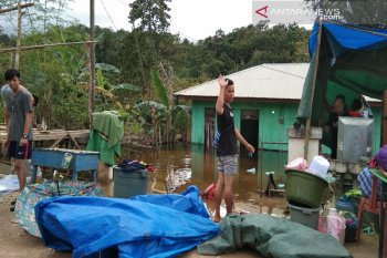 Korban banjir Konawe  bangun tenda darurat